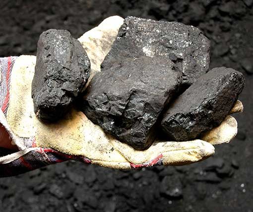Leñas Transporexcatin carbón